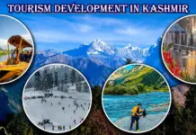 Jammu & Kashmir Tourism Growth Driving Economic Progress|