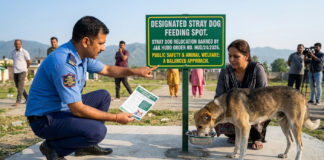 J&K’s New Stray Dog Guidelines Balance Safety & Compassion|
