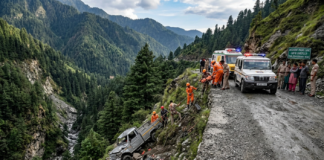 Tragedy on Taklech-Kashapat Road: Six Lives Lost in Shimla|