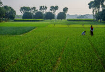 Agricultural Growth and Farmer Welfare in Bihar State|