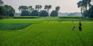 Agricultural Growth and Farmer Welfare in Bihar State|