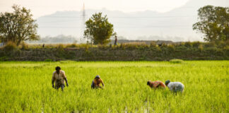 Agricultural Growth and Farmer Welfare in Chhattisgarh|