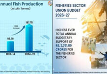 Fisheries Sector Growth and Economic Progress in Lakshadweep|