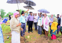 ఎర్ర రెడ్డిపాలెం కలెక్టర్ విస్తృత పర్యటన ఉపాధి హామీ పనులపై సమీక్ష|