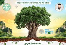 World environment day