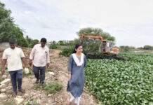చినరాయుని చెరువులో నీటి కలుపు తొలగింపు.|