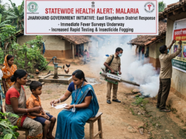 Jharkhand Issues Malaria Alert After Fatal Outbreak|