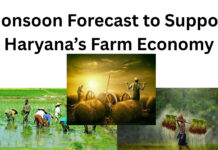 Monsoon Forecast to Support Haryana’s Farm Economy|