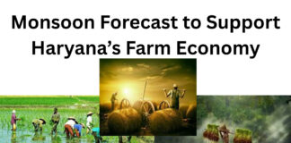 Monsoon Forecast to Support Haryana’s Farm Economy|