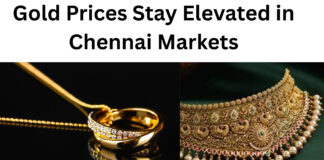Gold Prices Stay Elevated in Chennai Markets|
