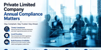 Private Limited Company Annual Compliance Matters|