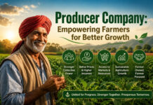 Producer Company: Empowering Farmers for Better Growth|