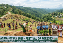 Van Mahotsav 2026: Green Drive Combats Landslides|