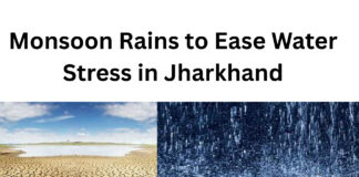Monsoon Rains to Ease Water Stress in Jharkhand|