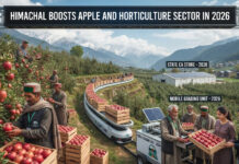 Himachal Boosts Apple and Horticulture Sector in 2026|