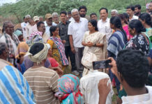 మార్కాపురం మండలం,రాయవరం గ్రామంలోని చెరువులో జరుగుతున్న|