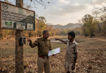 Palamau Tiger Reserve: Urgent Conservation Needed|