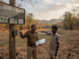 Palamau Tiger Reserve: Urgent Conservation Needed|
