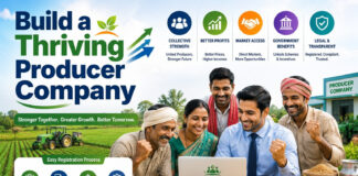 Build a Thriving Producer Company|