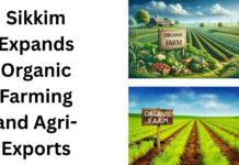Sikkim Expands Organic Farming and Agri-Exports