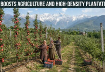 J&K Boosts Agriculture and High-Density Plantations|