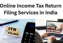 Online Income Tax Return Filing Services in India|