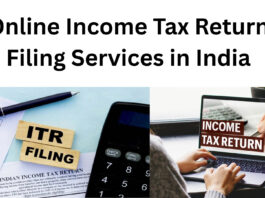 Online Income Tax Return Filing Services in India|