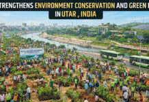UP Strengthens Environment Conservation and Green Drive|