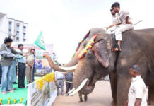 పలమనేరు క్యాంపు నుంచి పార్వతీపురానికి కుంకీ ఏనుగుల తరలింపు|