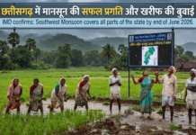 Chhattisgarh Monsoon: Rains Boost Kharif Agriculture|