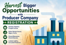 Harvest Bigger Opportunities with Producer Company Registration|