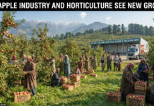 J&K Apple Industry and Horticulture See New Growth|