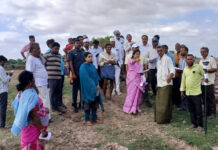 తర్లుపాడు: గోరుగుంతలపాడులో భూముల రీ సర్వే|