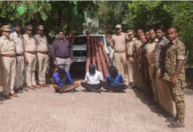 పీలేరులో రూ.26 లక్షల ఎర్రచందనం స్వాధీనం, ఐదుగురి అరెస్ట్|