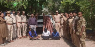 పీలేరులో రూ.26 లక్షల ఎర్రచందనం స్వాధీనం, ఐదుగురి అరెస్ట్|