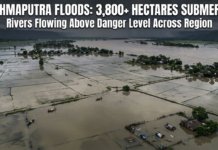 Brahmaputra Floods Submerge Thousands of Hectares|