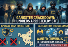 Haryana STF Crackdown Bags Gangsters & Extradites Fugitives|