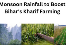 Monsoon Rainfall to Boost Bihar’s Kharif Farming|