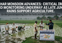 Bihar Monsoon Update: Active Rains Fuel Agriculture|