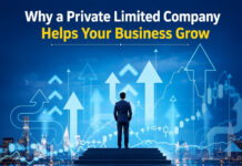 Why a Private Limited Company Helps Your Business Grow|