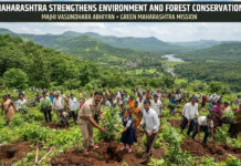 Maharashtra Strengthens Environment and Forest Conservation|