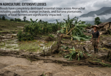 Monsoon Floods Devastate Agriculture in Arunachal|
