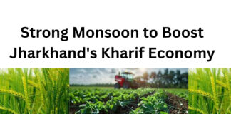 Strong Monsoon to Boost Jharkhand’s Kharif Economy|