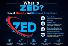 What Is ZED? Boost Quality and Business Excellence|