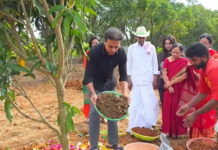 కేటీఆర్ జన్మదినం: ఆశీర్వదించిన కేసీఆర్, మొక్కల పెంపకం|