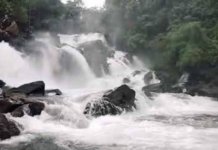 చింతూరు: పొల్లూరు జలపాతం వర్షాల కారణంగా తాత్కాలికంగా మూసివేత!