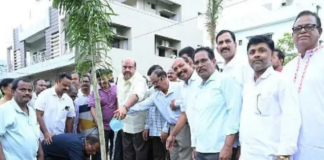 నాయుడు కాలనీలో మొక్కలు నాటిన బేబినాయన