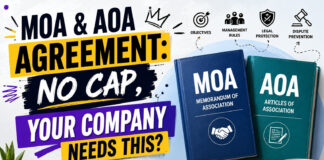 MOA & AOA Agreement: No Cap, Your Company Needs This?|