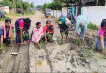 చింతూరులో రోడ్డుపై వారి వారి నాట్లు వేసి నిరసన!