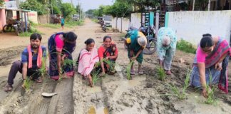 చింతూరులో రోడ్డుపై వారి వారి నాట్లు వేసి నిరసన!